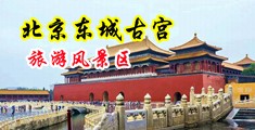 黑丝强奸视频污污污中国北京-东城古宫旅游风景区